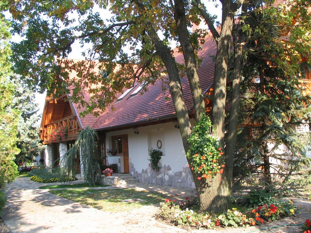 Toelgyes Apartment Hajdúszoboszló Pokój zdjęcie